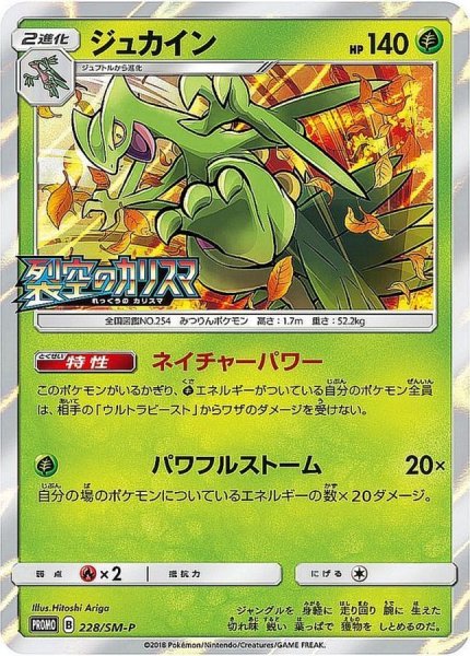 画像1: 《キズ特価品》【ポケカ】ジュカイン【-】PROMO-228/SM-P (1)