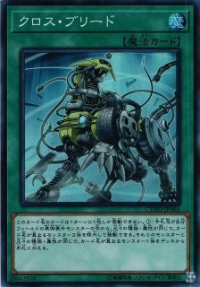 遊戯 絶対王 バック ジャック ノーマル 効果 Sr06 Jp0 通販ならカードラボオンラインショップ